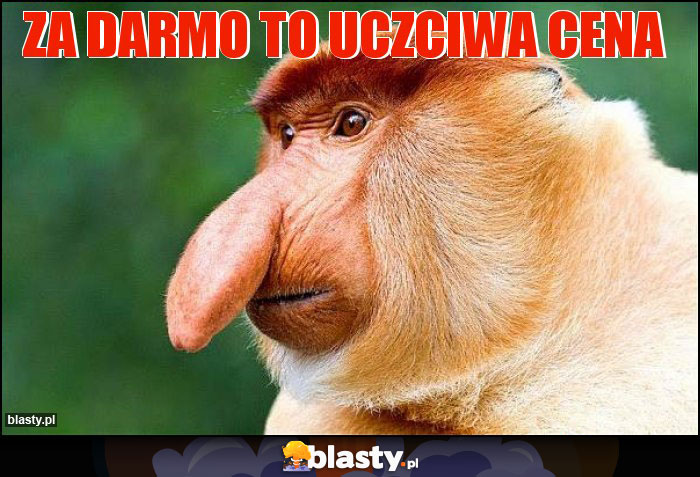 Za darmo to uczciwa cena