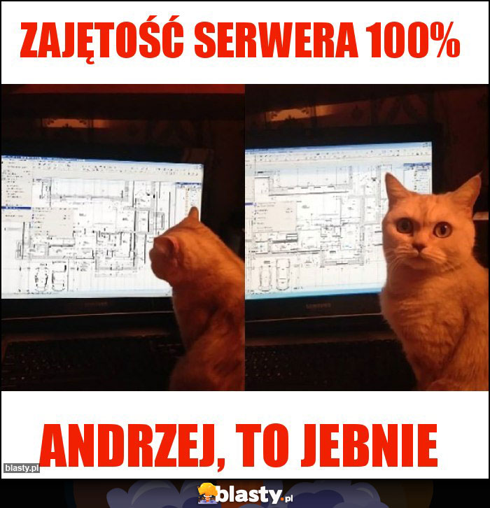 Zajętość serwera 100%