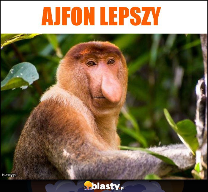 Ajfon lepszy