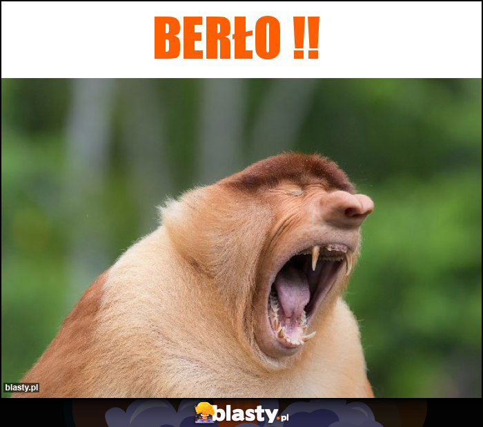 BERŁO !!