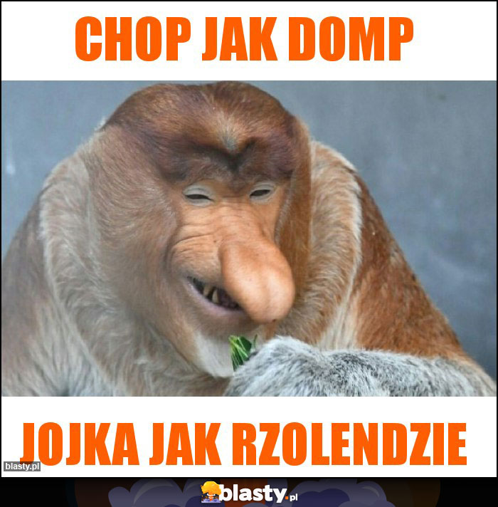 Chop jak domp