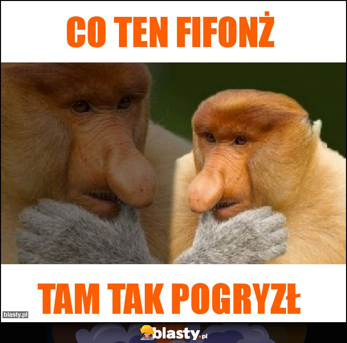 CO Ten fifonż