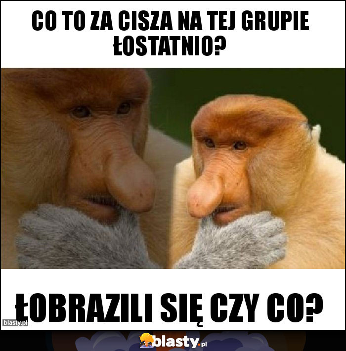 Co to za cisza na tej grupie łostatnio?