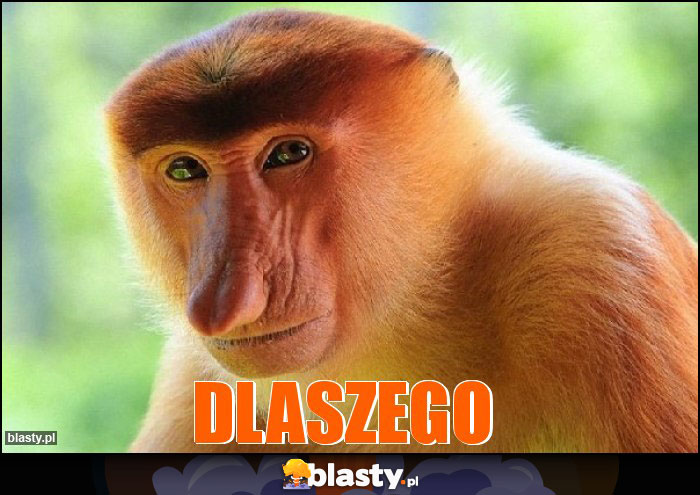 Dlaszego