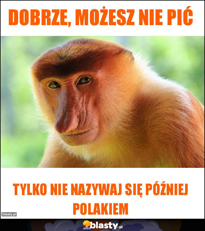 Dobrze, możesz nie pić