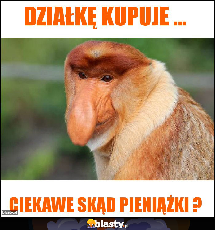 DZIAŁKĘ KUPUJE ...