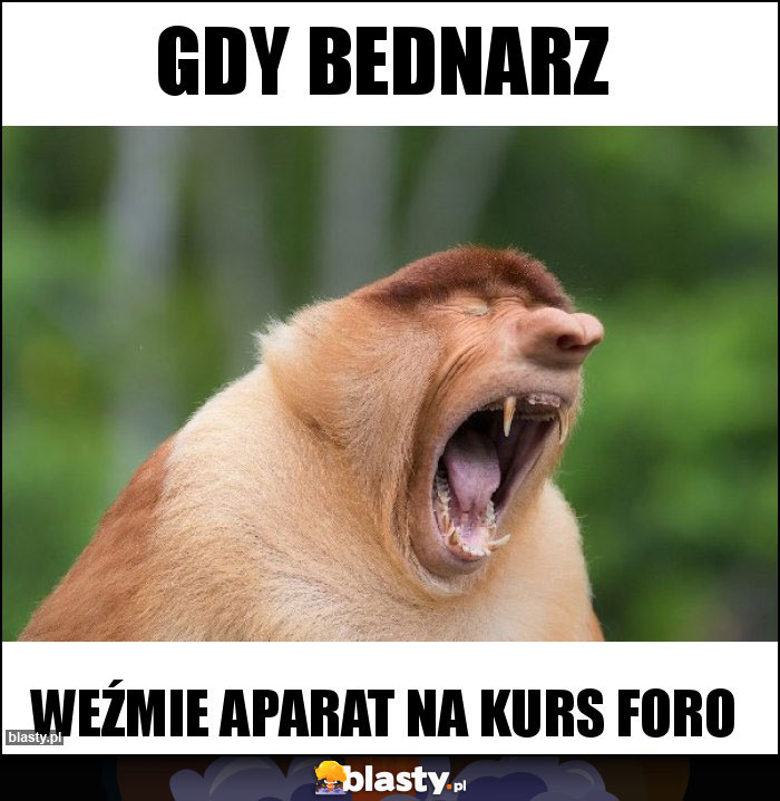 Gdy Bednarz