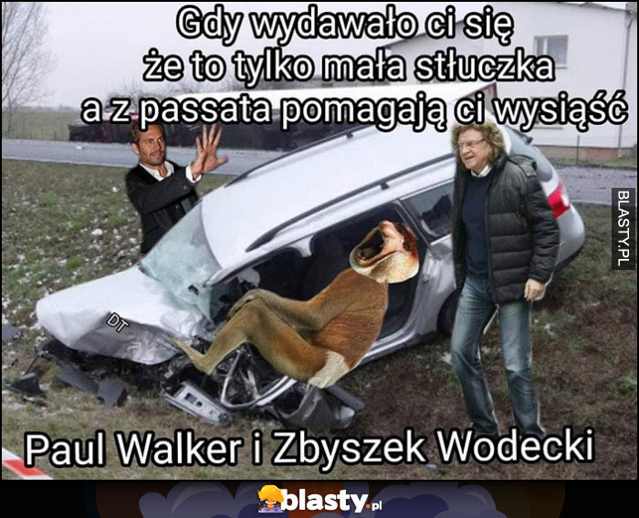 Gdy wydawało ci się, że to tylko mała stłuczka a z passata pomagają ci wysiąść Paul Walker i Zbyszek Wodecki Polak nosacz małpa