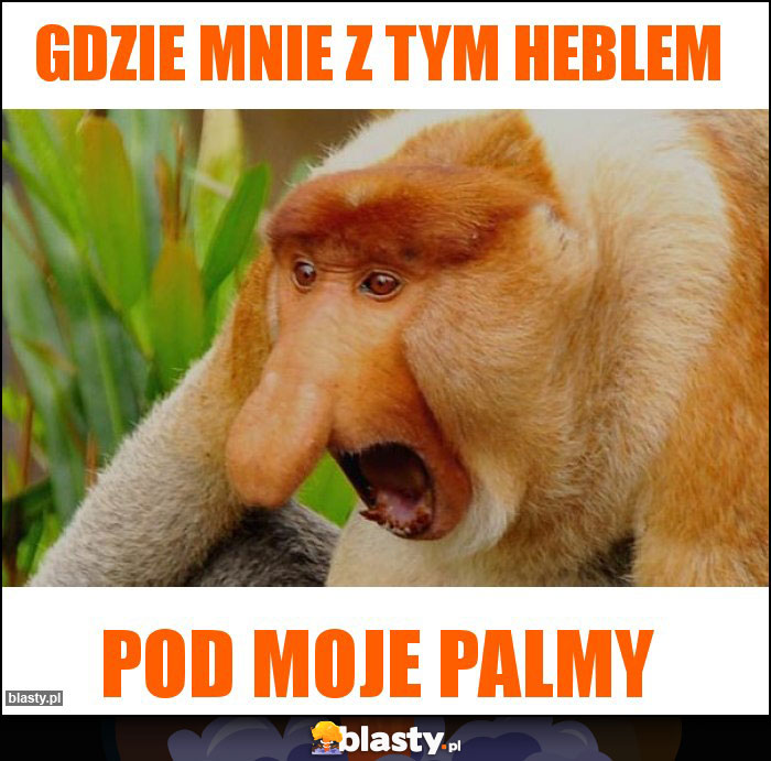 Gdzie mnie z tym heblem