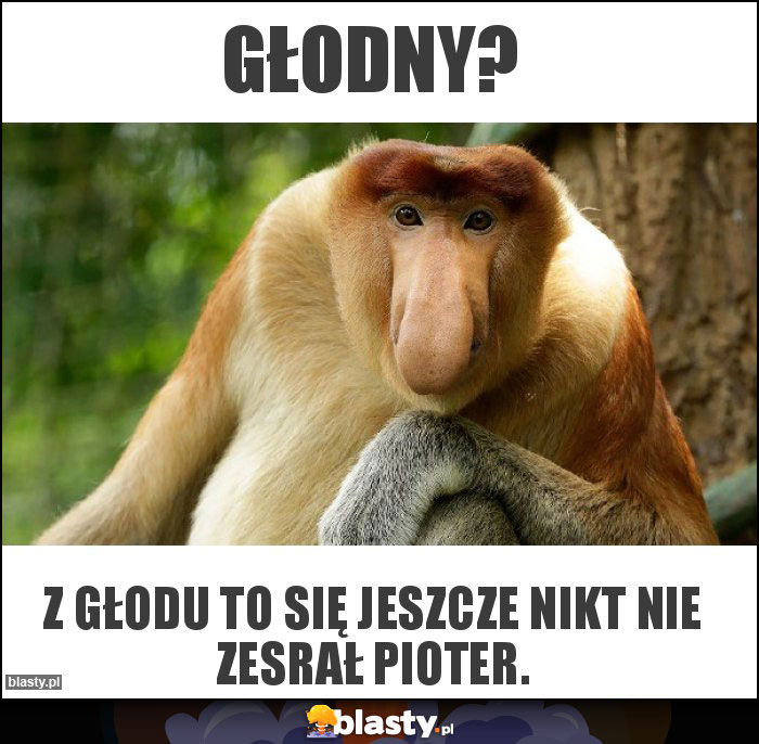 Głodny?