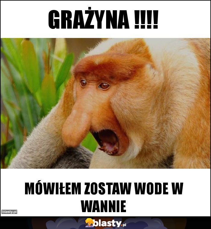 Grażyna !!!!