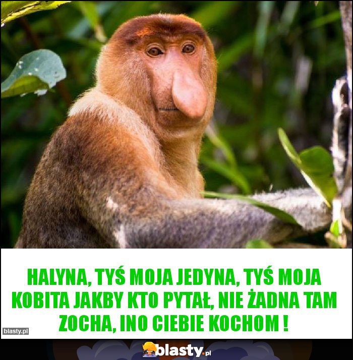 Halyna, tyś moja jedyna, tyś moja kobita jakby kto pytał, nie żadna tam zocha, ino ciebie kochom !