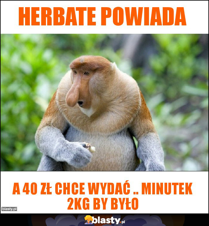 Herbate powiada