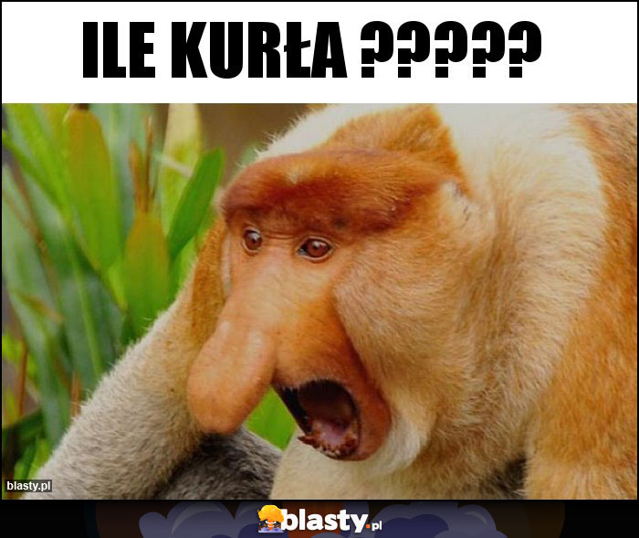 ILE KURŁA ?????