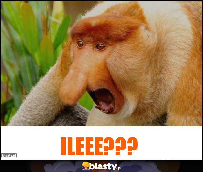 ILEEE???