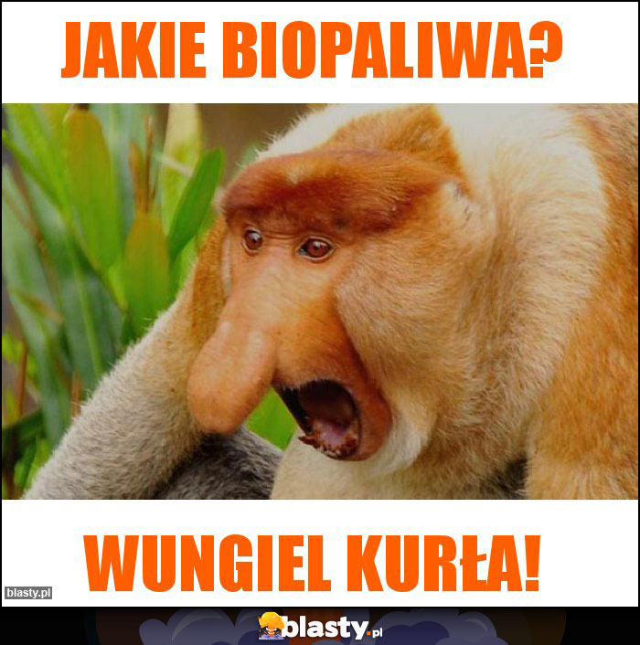 Jakie biopaliwa?