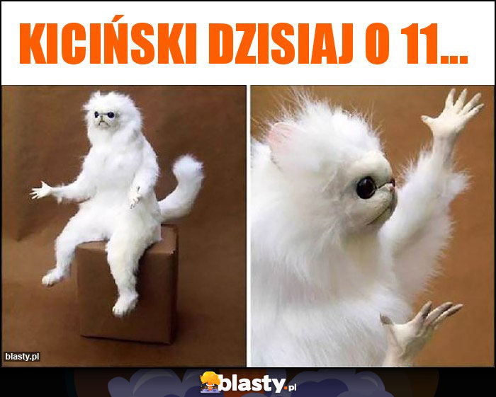 Kiciński dzisiaj o 11...