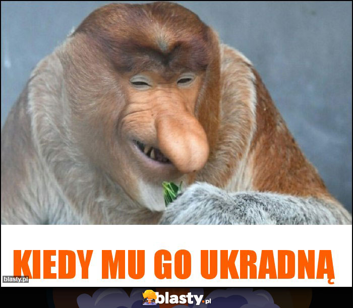 Kiedy mu go ukradną