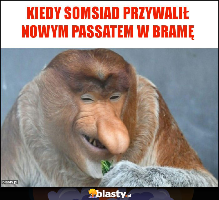 Kiedy somsiad przywalił nowym passatem w bramę