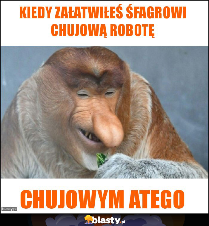 Kiedy załatwiłeś śfagrowi chujową robotę