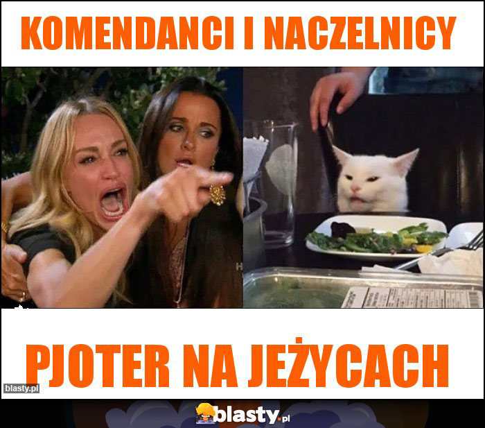 Komendanci i Naczelnicy