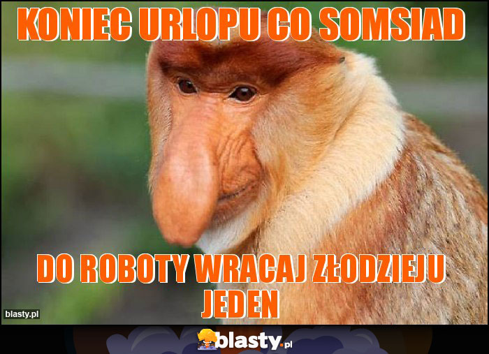 Koniec urlopu co somsiad