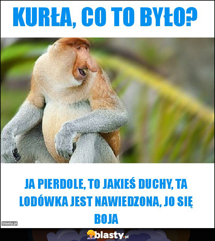 Kurła, co to było?