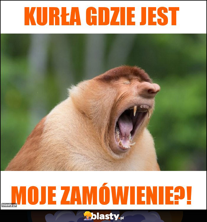 Kurła gdzie jest