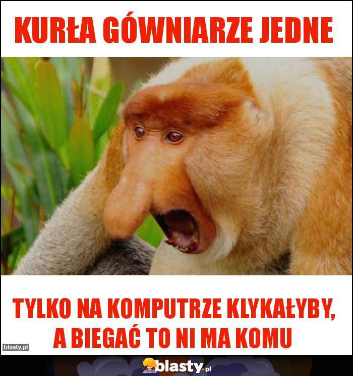 Kurła gówniarze jedne