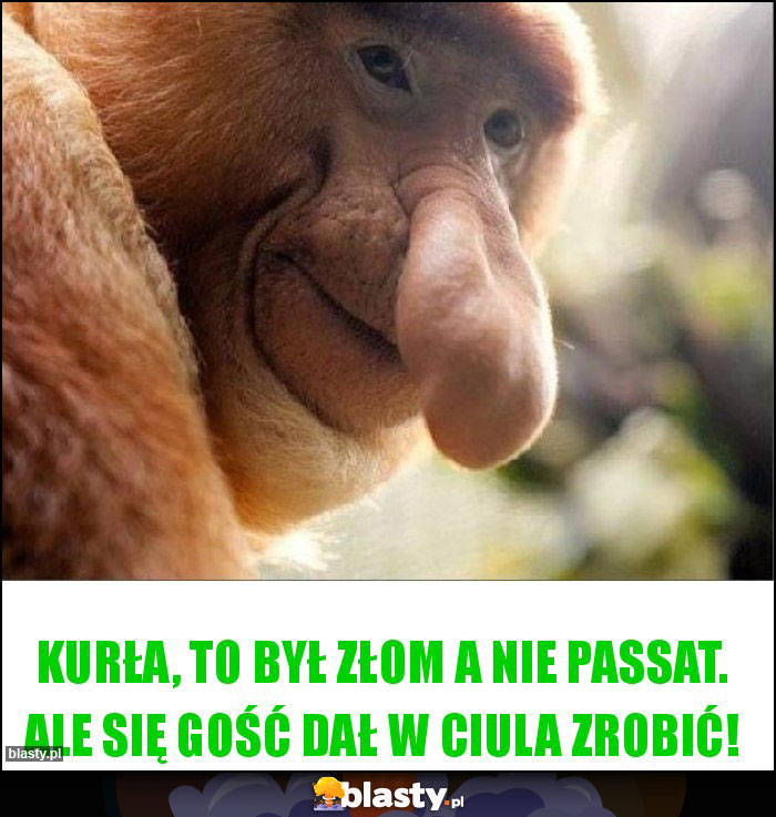 Kurła, to był złom a nie passat. Ale się gość dał w ciula zrobić!