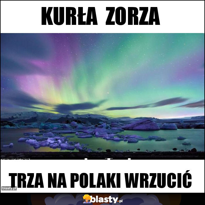 Kurła  zorZa