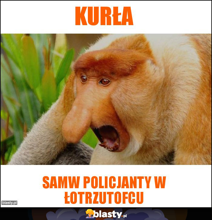 Kurła