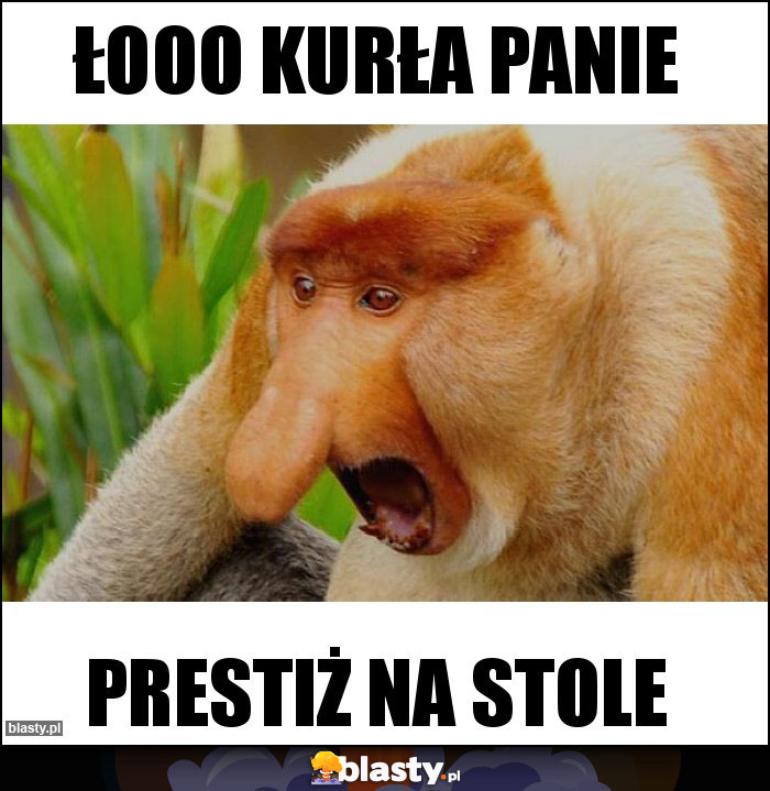 Łooo kurła panie