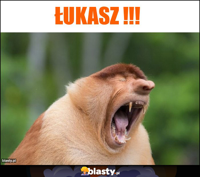 ŁUKASZ !!!