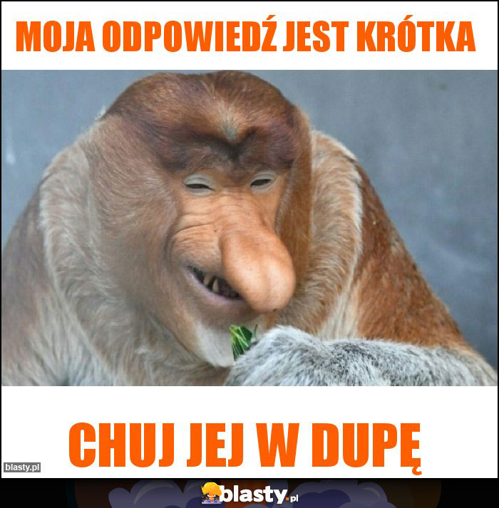 Moja odpowiedź jest krótka