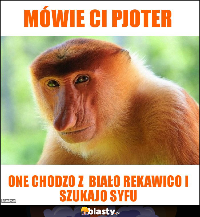 Mówie Ci pjoter