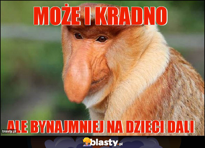 Może i kradno