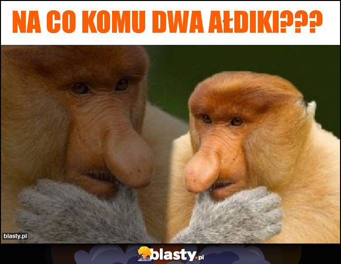 Na co komu dwa ałdiki???