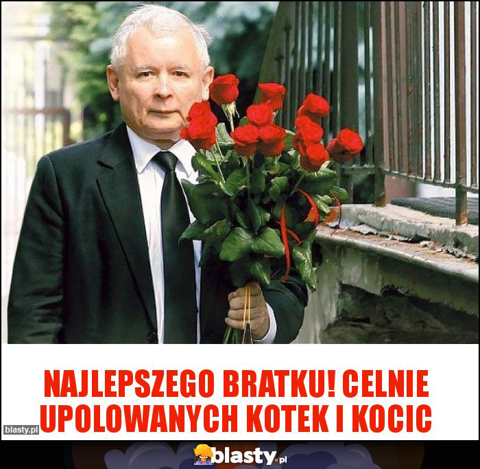 Najlepszego Bratku! Celnie upolowanych kotek i kocic