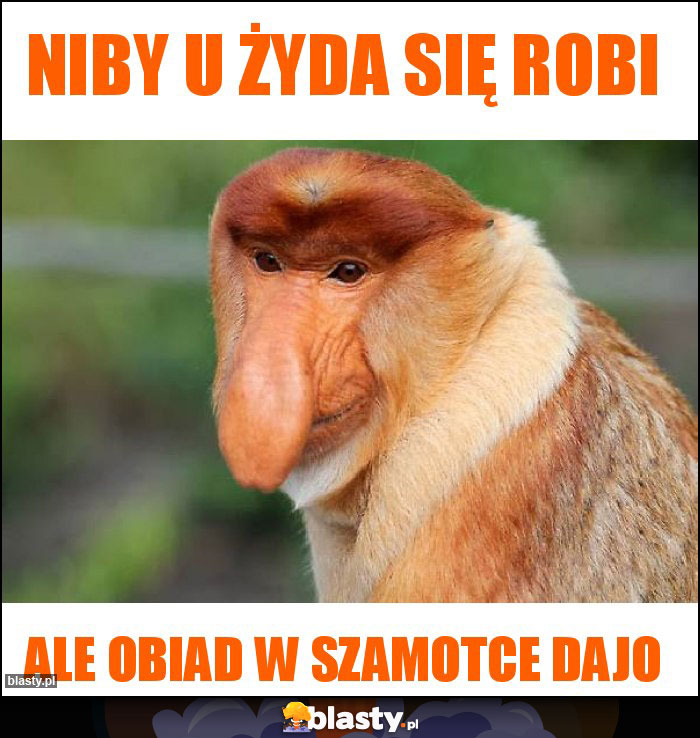 Niby u żyda się robi