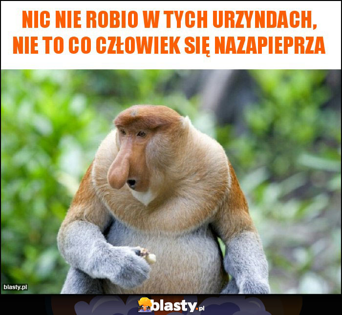 nic nie robio w tych urzyndach, nie to co człowiek się nazapieprza