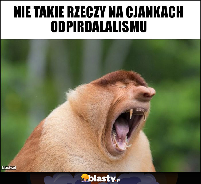 Nie takie rzeczy na cjankach odpirdalalismu