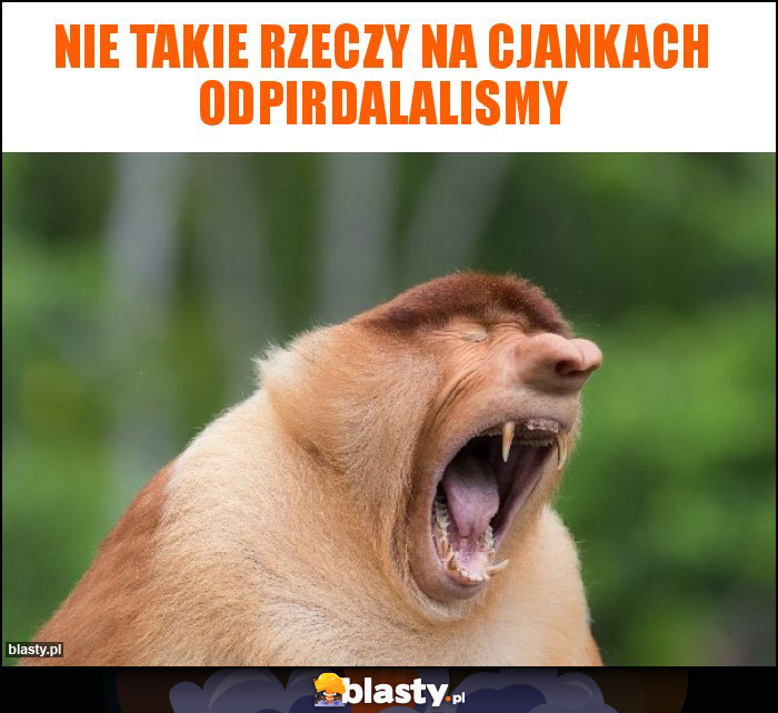 Nie takie rzeczy na cjankach odpirdalalismy