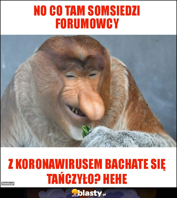 No Co tam somsiedzi Forumowcy