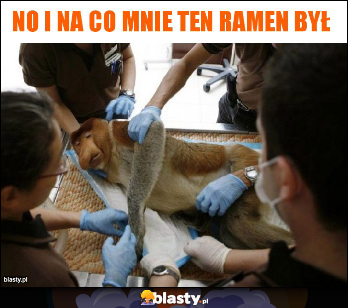 No i na co mnie ten ramen był