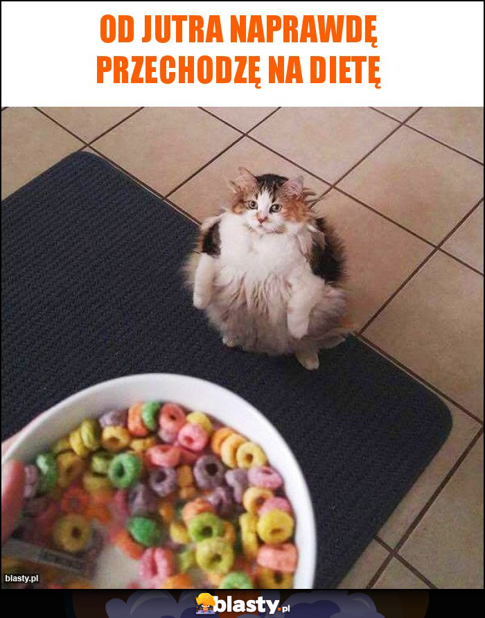 Od jutra naprawdę przechodzę na dietę