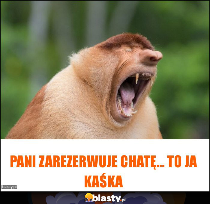 Pani zarezerwuje chatę... To ja Kaśka