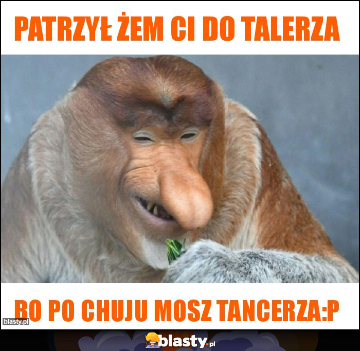 patrzył żem Ci do talerza