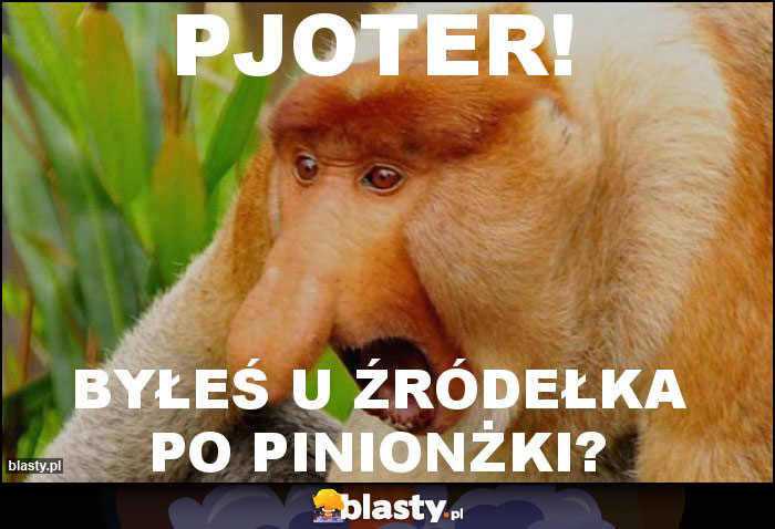 Pjoter!