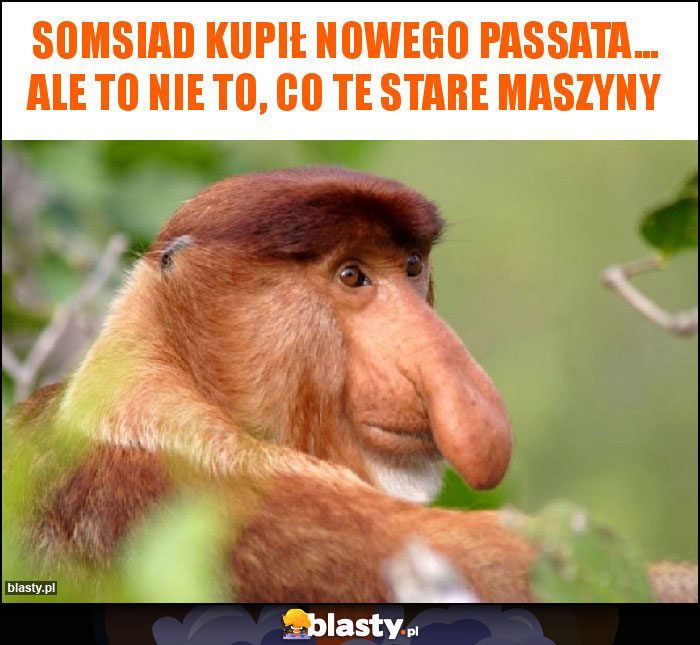 Somsiad kupił nowego passata... ale to nie to, co te stare maszyny